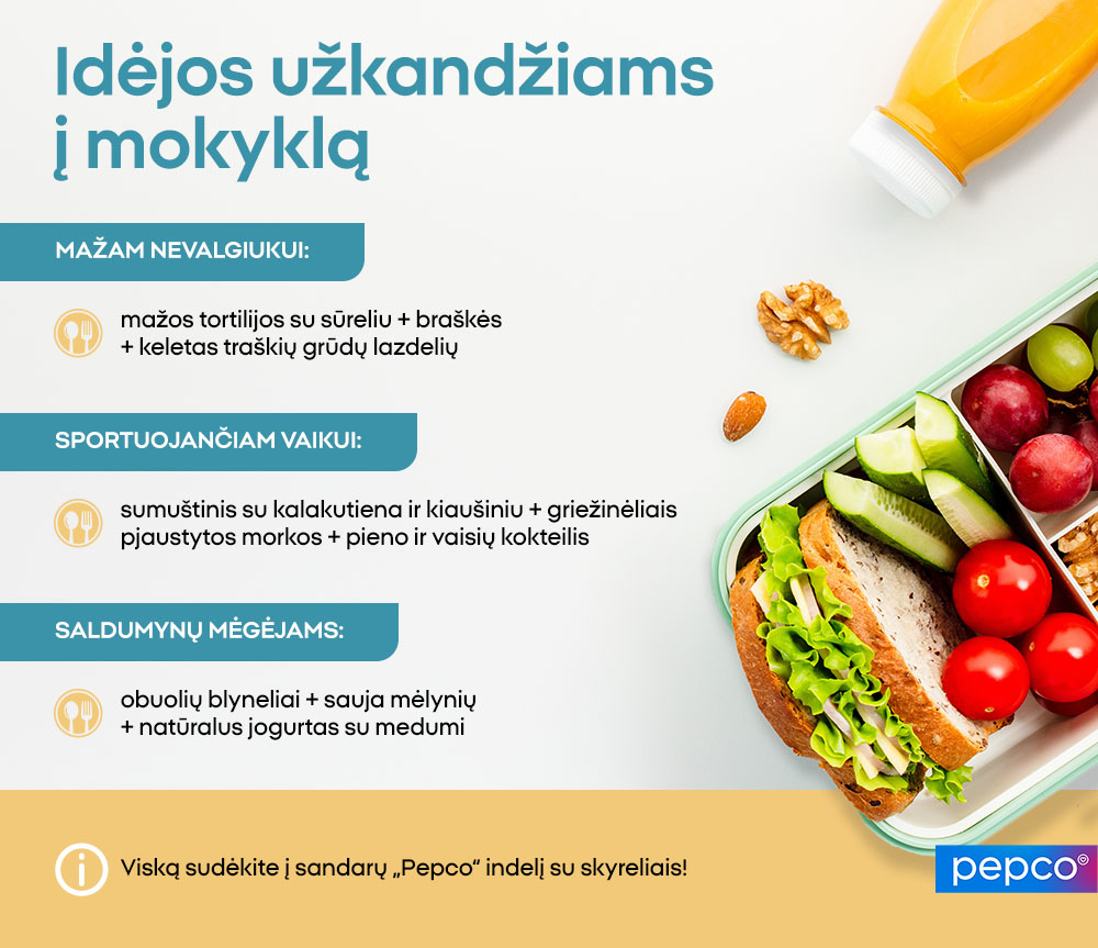 Idėjos užkandžiams į mokyklą