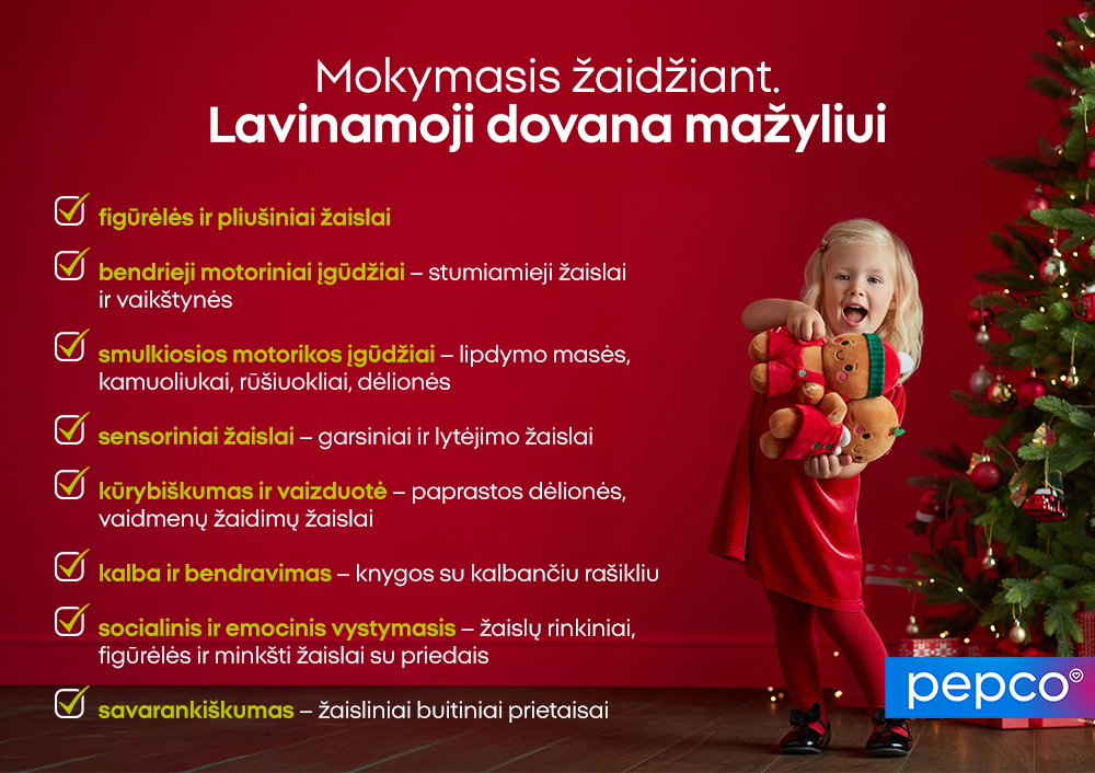 Mokymasis žaidžiant. Lavinamoji dovana mažyliui 