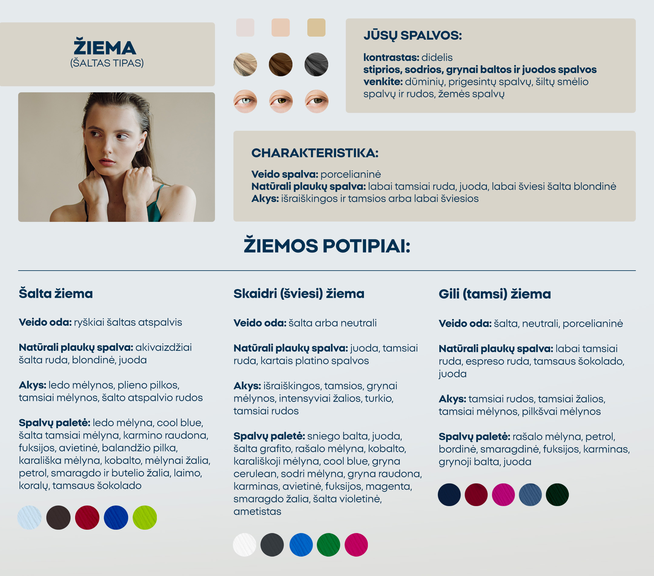 Žiema (šaltas tipas)